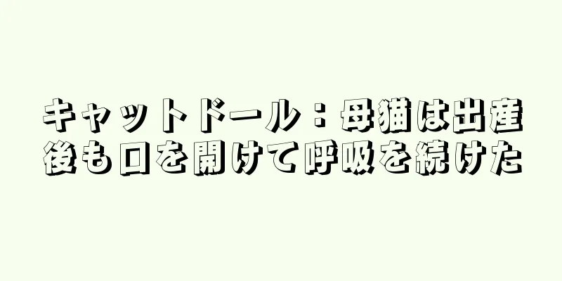 キャットドール：母猫は出産後も口を開けて呼吸を続けた