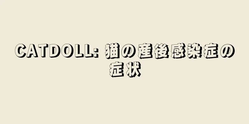 CATDOLL: 猫の産後感染症の症状