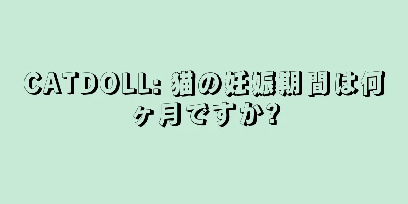 CATDOLL: 猫の妊娠期間は何ヶ月ですか?