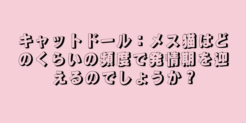 キャットドール：メス猫はどのくらいの頻度で発情期を迎えるのでしょうか？