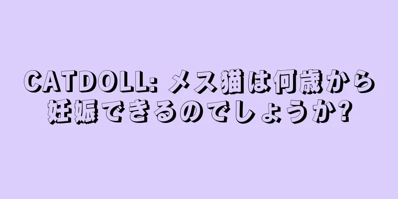 CATDOLL: メス猫は何歳から妊娠できるのでしょうか?