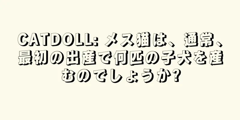CATDOLL: メス猫は、通常、最初の出産で何匹の子犬を産むのでしょうか?
