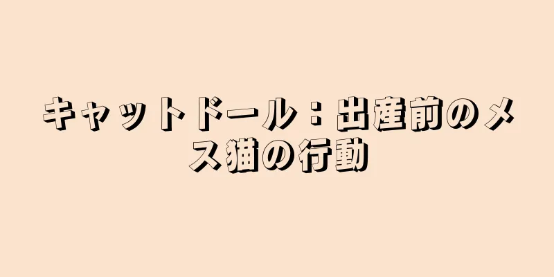 キャットドール：出産前のメス猫の行動