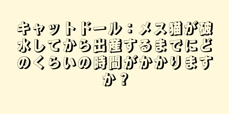 キャットドール：メス猫が破水してから出産するまでにどのくらいの時間がかかりますか？
