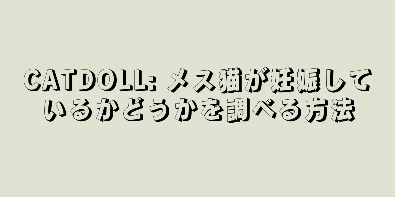 CATDOLL: メス猫が妊娠しているかどうかを調べる方法