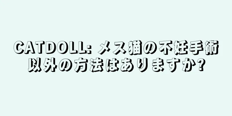 CATDOLL: メス猫の不妊手術以外の方法はありますか?