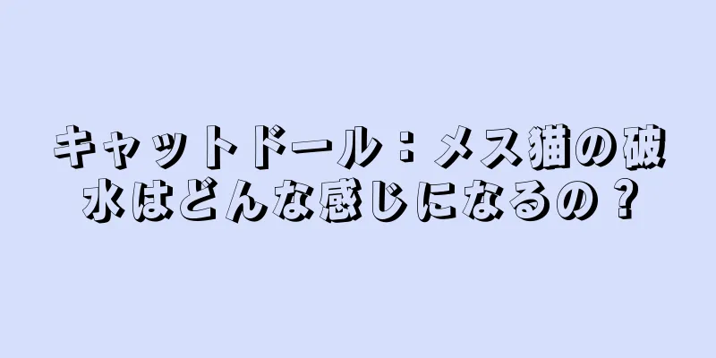 キャットドール：メス猫の破水はどんな感じになるの？
