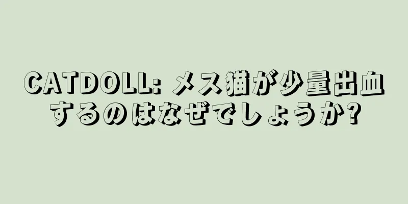 CATDOLL: メス猫が少量出血するのはなぜでしょうか?