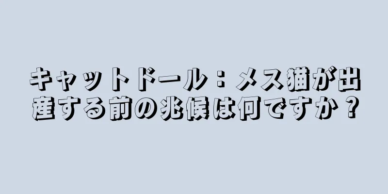 キャットドール：メス猫が出産する前の兆候は何ですか？