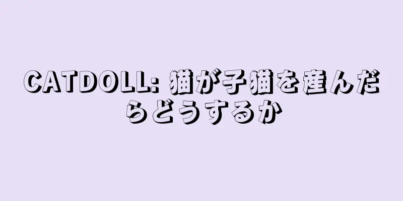 CATDOLL: 猫が子猫を産んだらどうするか