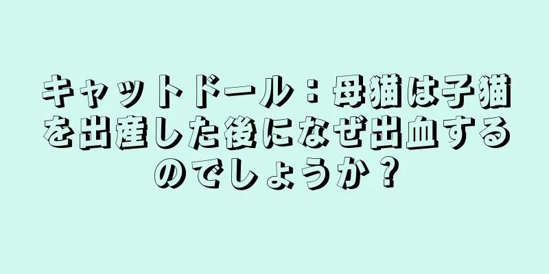 キャットドール：母猫は子猫を出産した後になぜ出血するのでしょうか？