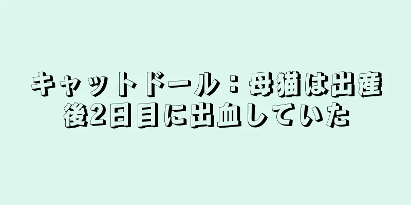 キャットドール：母猫は出産後2日目に出血していた