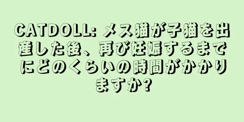 CATDOLL: メス猫が子猫を出産した後、再び妊娠するまでにどのくらいの時間がかかりますか?