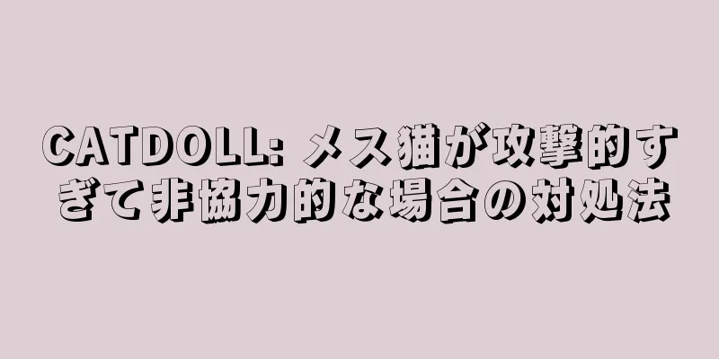 CATDOLL: メス猫が攻撃的すぎて非協力的な場合の対処法