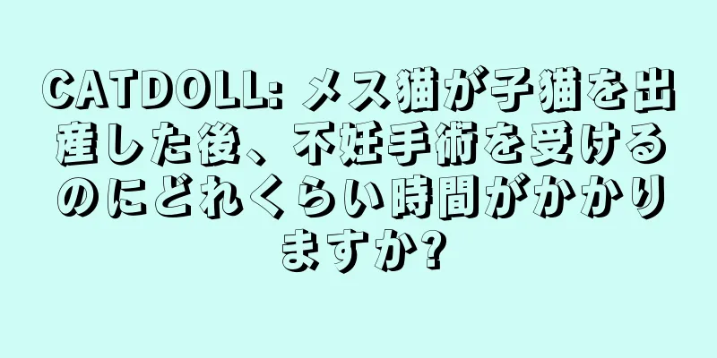 CATDOLL: メス猫が子猫を出産した後、不妊手術を受けるのにどれくらい時間がかかりますか?