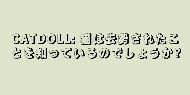 CATDOLL: 猫は去勢されたことを知っているのでしょうか?