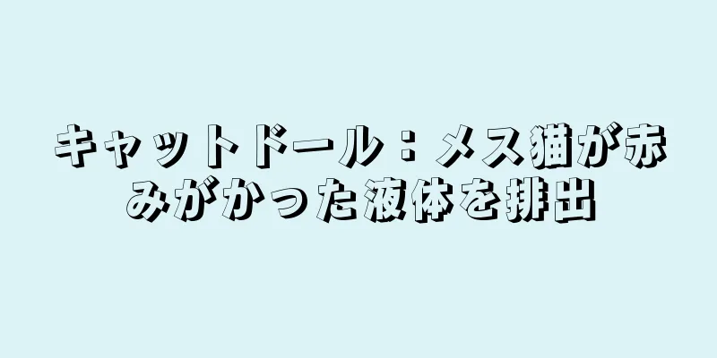キャットドール：メス猫が赤みがかった液体を排出