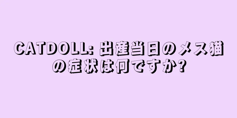 CATDOLL: 出産当日のメス猫の症状は何ですか?