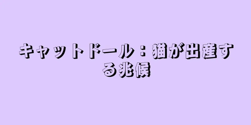 キャットドール：猫が出産する兆候