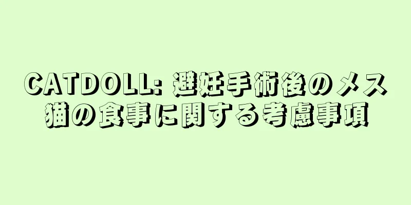 CATDOLL: 避妊手術後のメス猫の食事に関する考慮事項