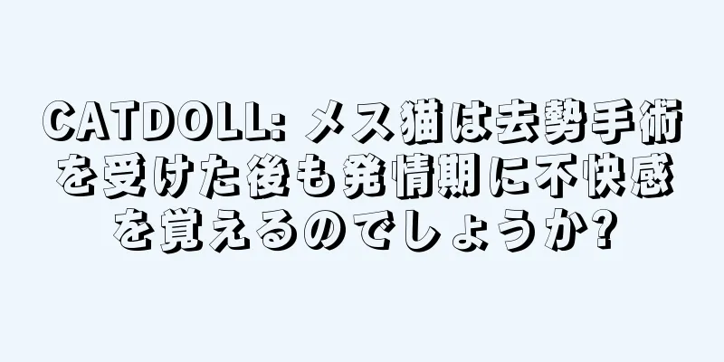 CATDOLL: メス猫は去勢手術を受けた後も発情期に不快感を覚えるのでしょうか?