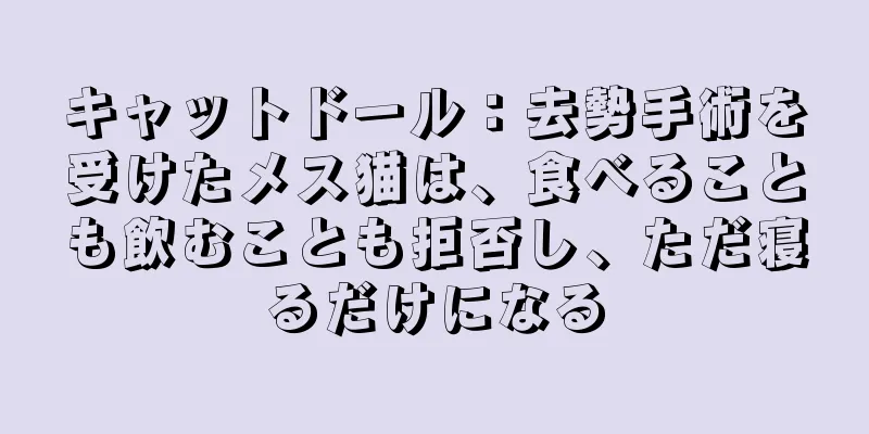 キャットドール：去勢手術を受けたメス猫は、食べることも飲むことも拒否し、ただ寝るだけになる