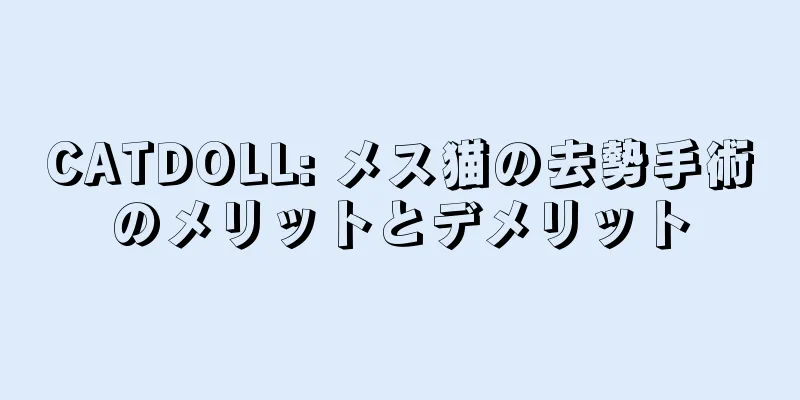 CATDOLL: メス猫の去勢手術のメリットとデメリット