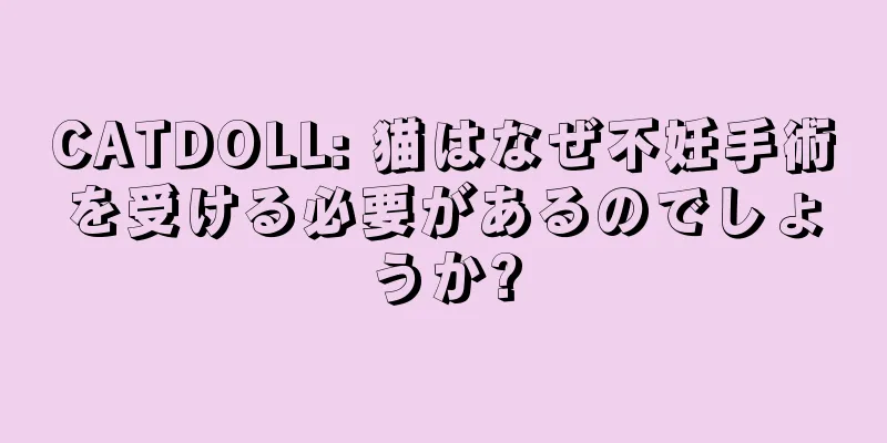 CATDOLL: 猫はなぜ不妊手術を受ける必要があるのでしょうか?