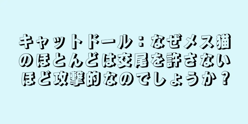 キャットドール：なぜメス猫のほとんどは交尾を許さないほど攻撃的なのでしょうか？