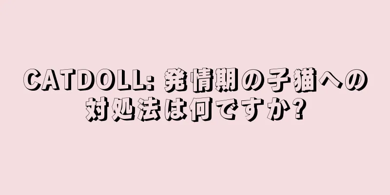 CATDOLL: 発情期の子猫への対処法は何ですか?