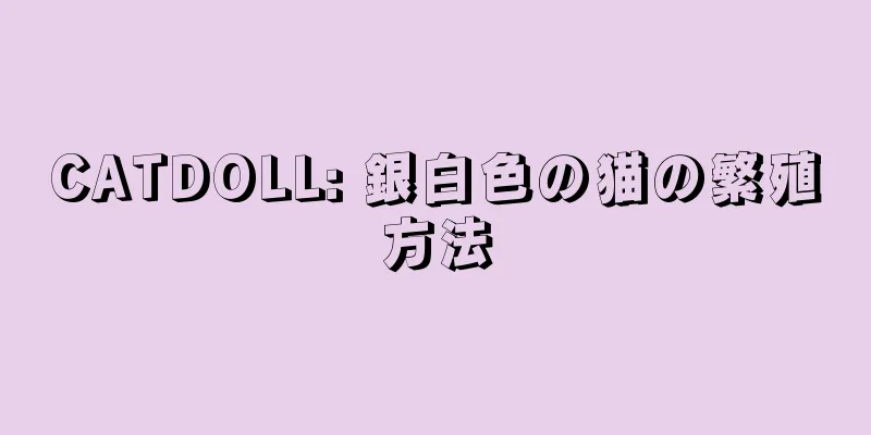 CATDOLL: 銀白色の猫の繁殖方法