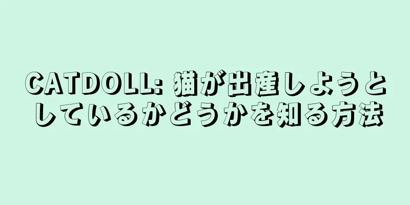 CATDOLL: 猫が出産しようとしているかどうかを知る方法