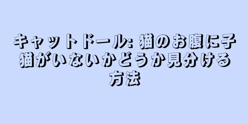 キャットドール: 猫のお腹に子猫がいないかどうか見分ける方法