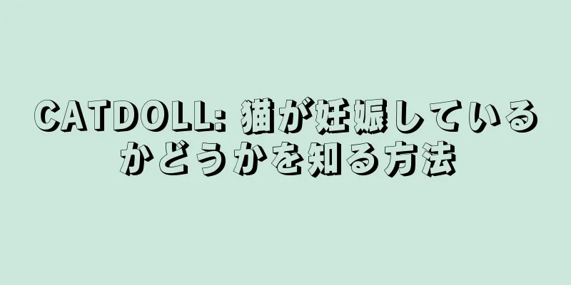 CATDOLL: 猫が妊娠しているかどうかを知る方法