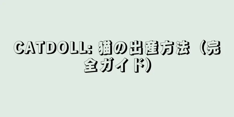 CATDOLL: 猫の出産方法（完全ガイド）