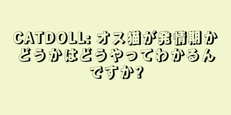 CATDOLL: オス猫が発情期かどうかはどうやってわかるんですか?