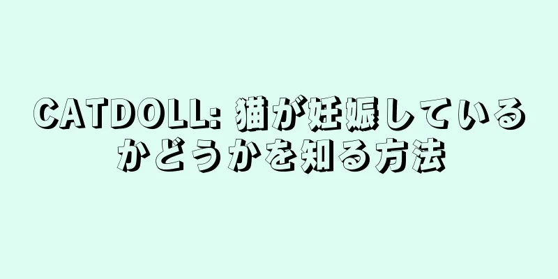 CATDOLL: 猫が妊娠しているかどうかを知る方法