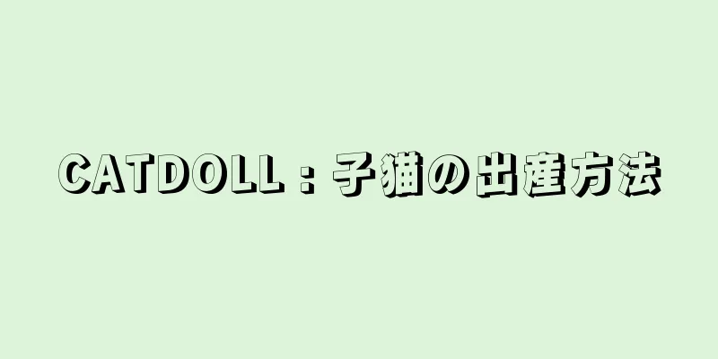 CATDOLL : 子猫の出産方法