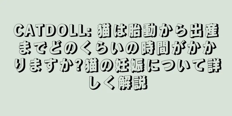 CATDOLL: 猫は胎動から出産までどのくらいの時間がかかりますか?猫の妊娠について詳しく解説