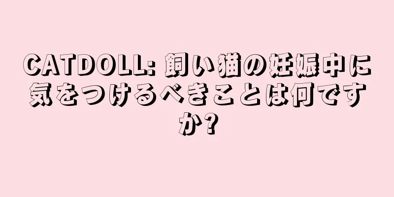 CATDOLL: 飼い猫の妊娠中に気をつけるべきことは何ですか?