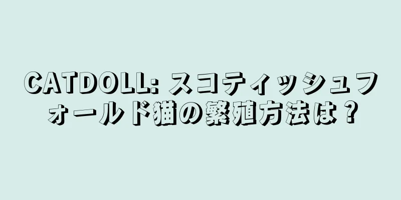 CATDOLL: スコティッシュフォールド猫の繁殖方法は？
