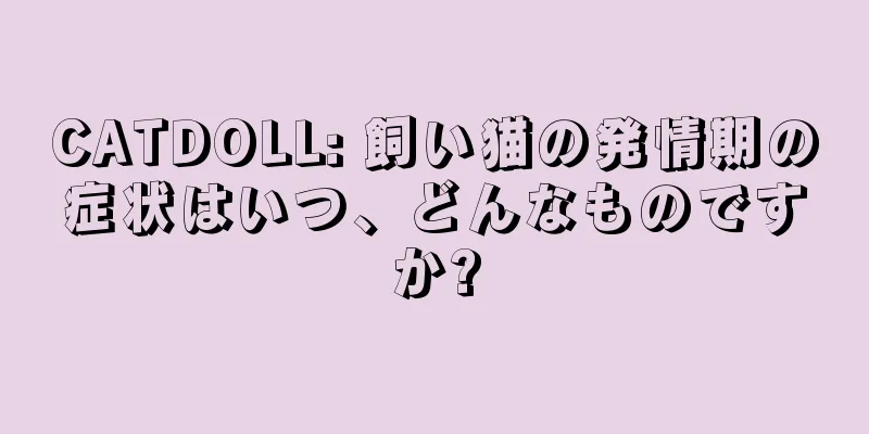 CATDOLL: 飼い猫の発情期の症状はいつ、どんなものですか?