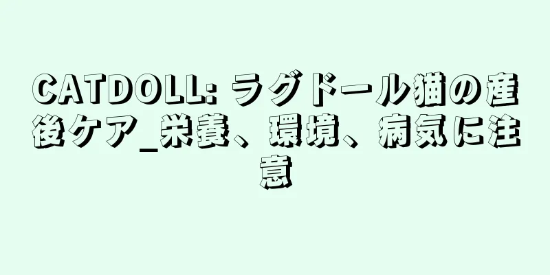 CATDOLL: ラグドール猫の産後ケア_栄養、環境、病気に注意