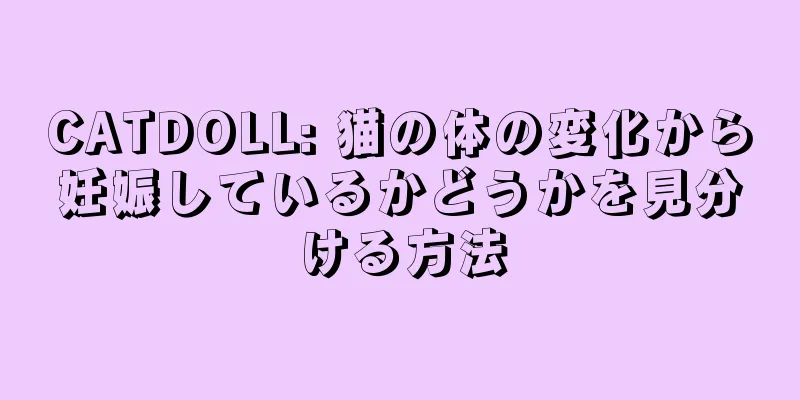 CATDOLL: 猫の体の変化から妊娠しているかどうかを見分ける方法