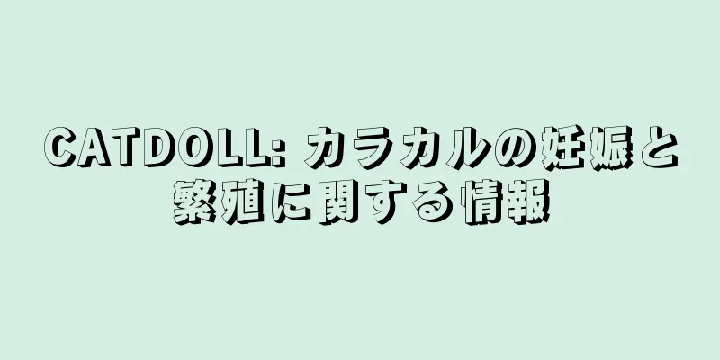 CATDOLL: カラカルの妊娠と繁殖に関する情報