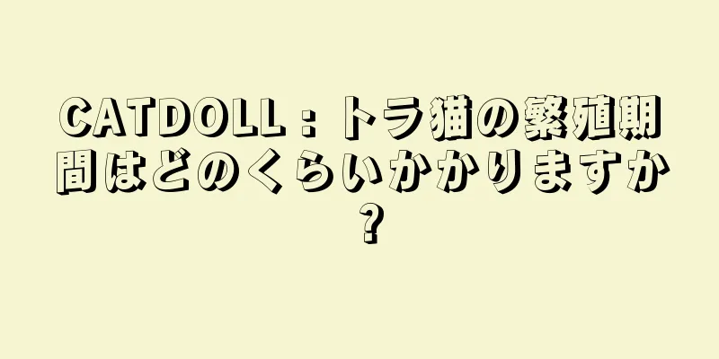 CATDOLL : トラ猫の繁殖期間はどのくらいかかりますか？