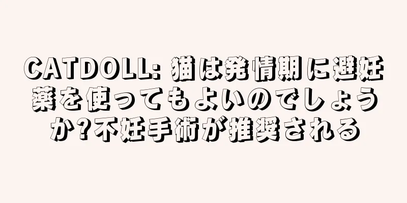 CATDOLL: 猫は発情期に避妊薬を使ってもよいのでしょうか?不妊手術が推奨される