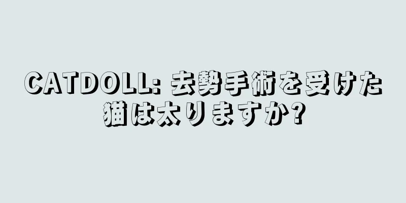CATDOLL: 去勢手術を受けた猫は太りますか?