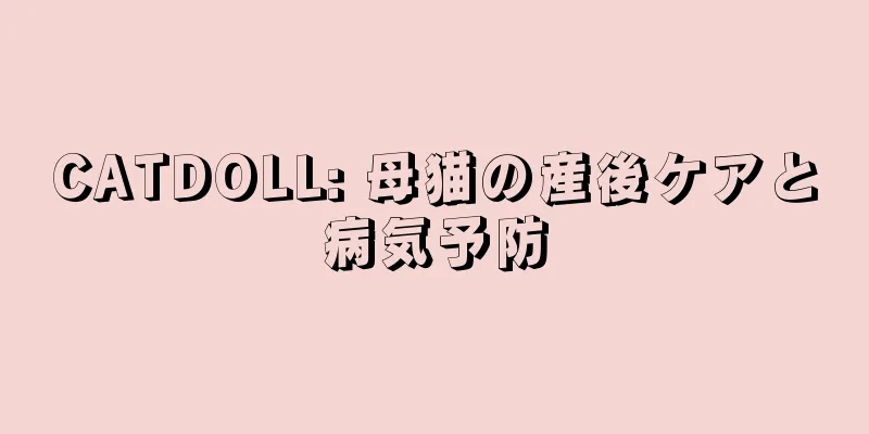 CATDOLL: 母猫の産後ケアと病気予防