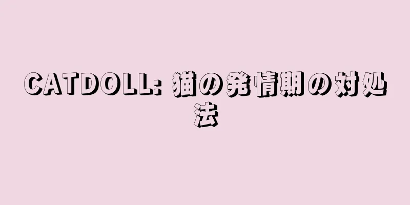 CATDOLL: 猫の発情期の対処法